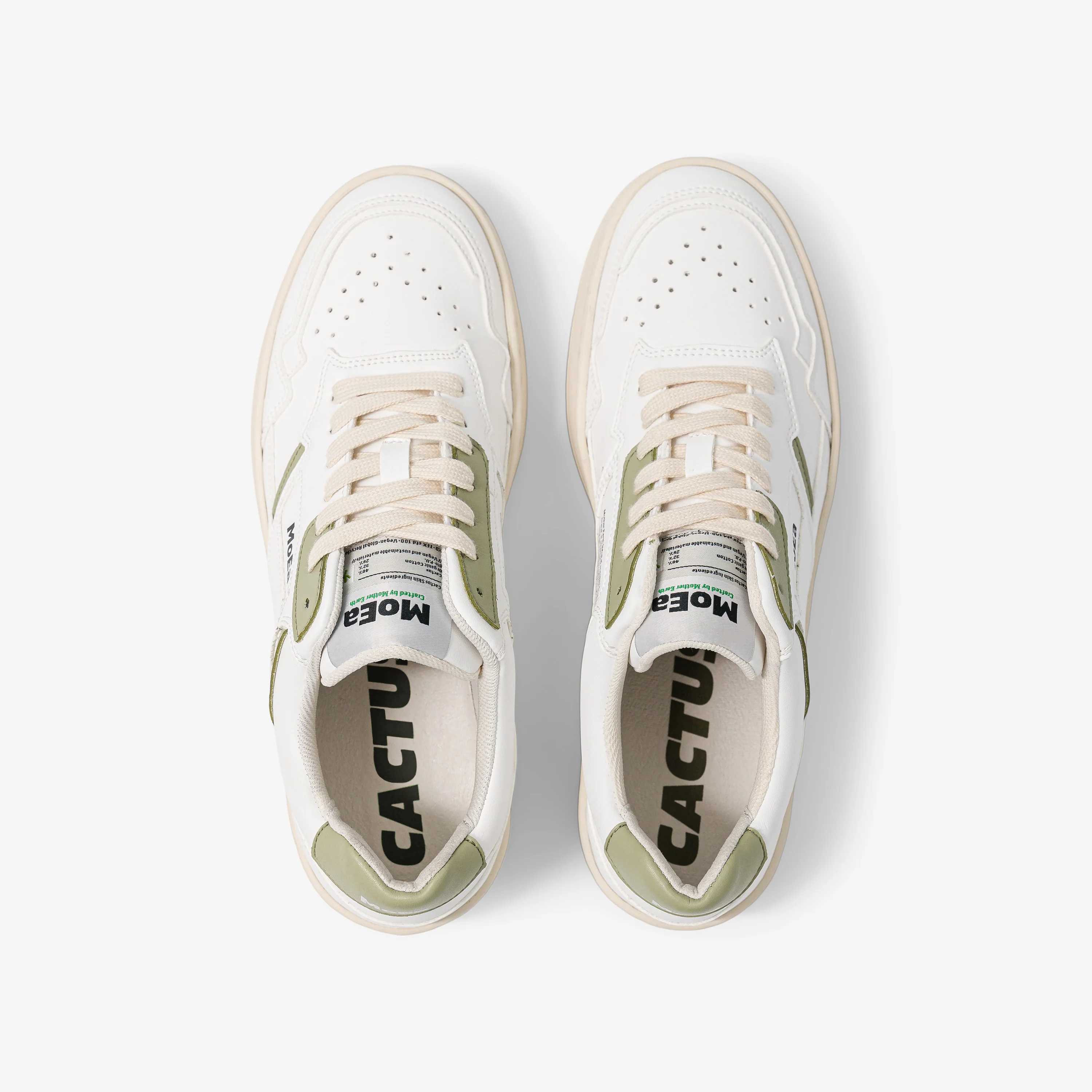 GEN1 - Cactus White & Aloe - Image 3