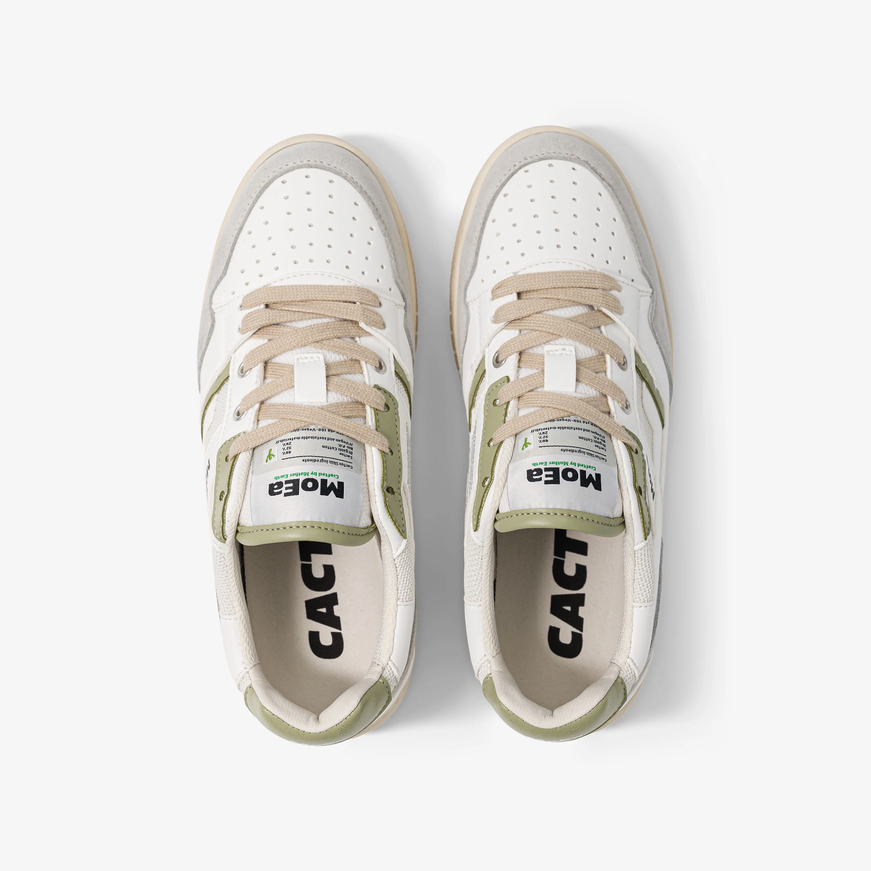GEN2 - Cactus White & Aloe - Image 6