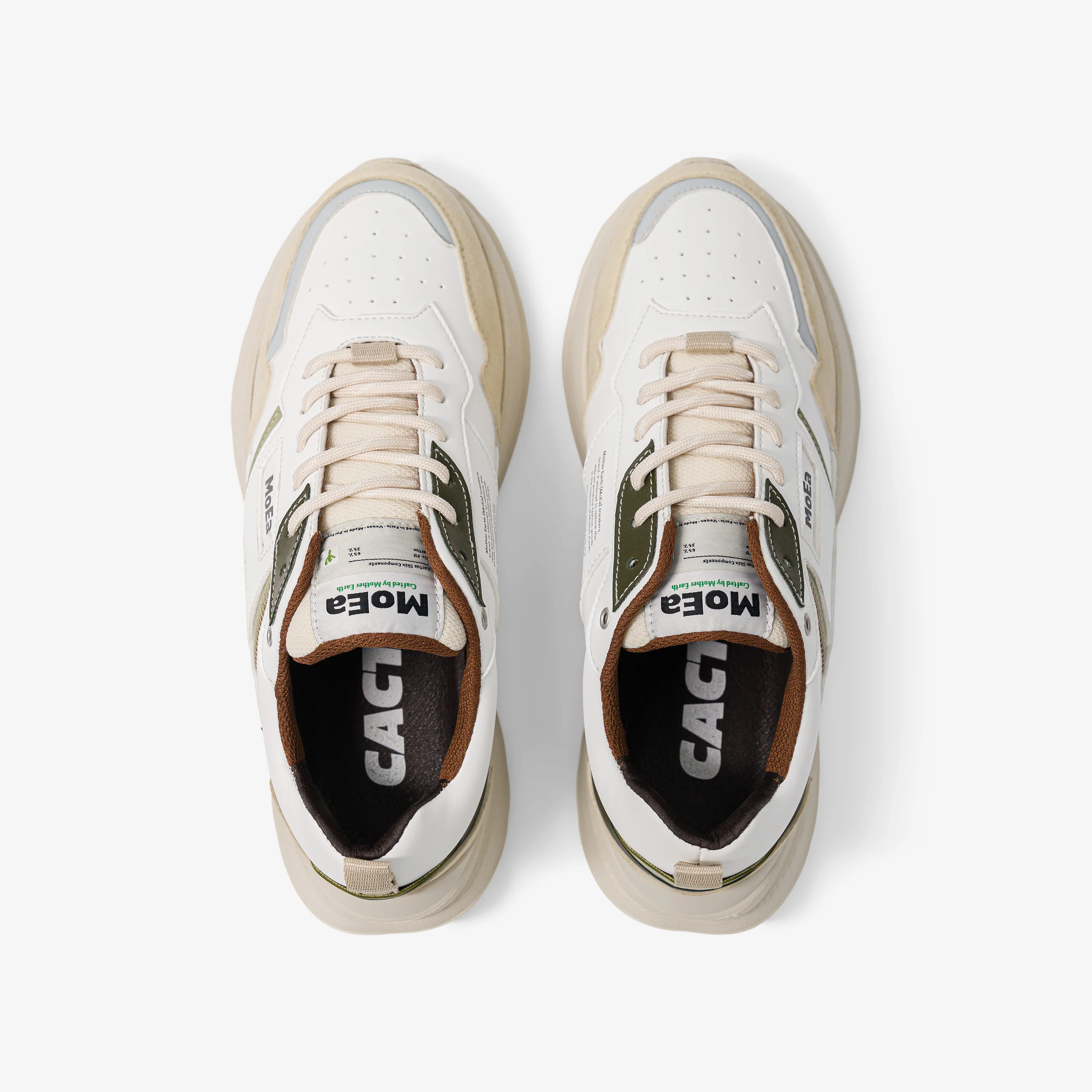 GEN5 - Cactus Blend - Image 5