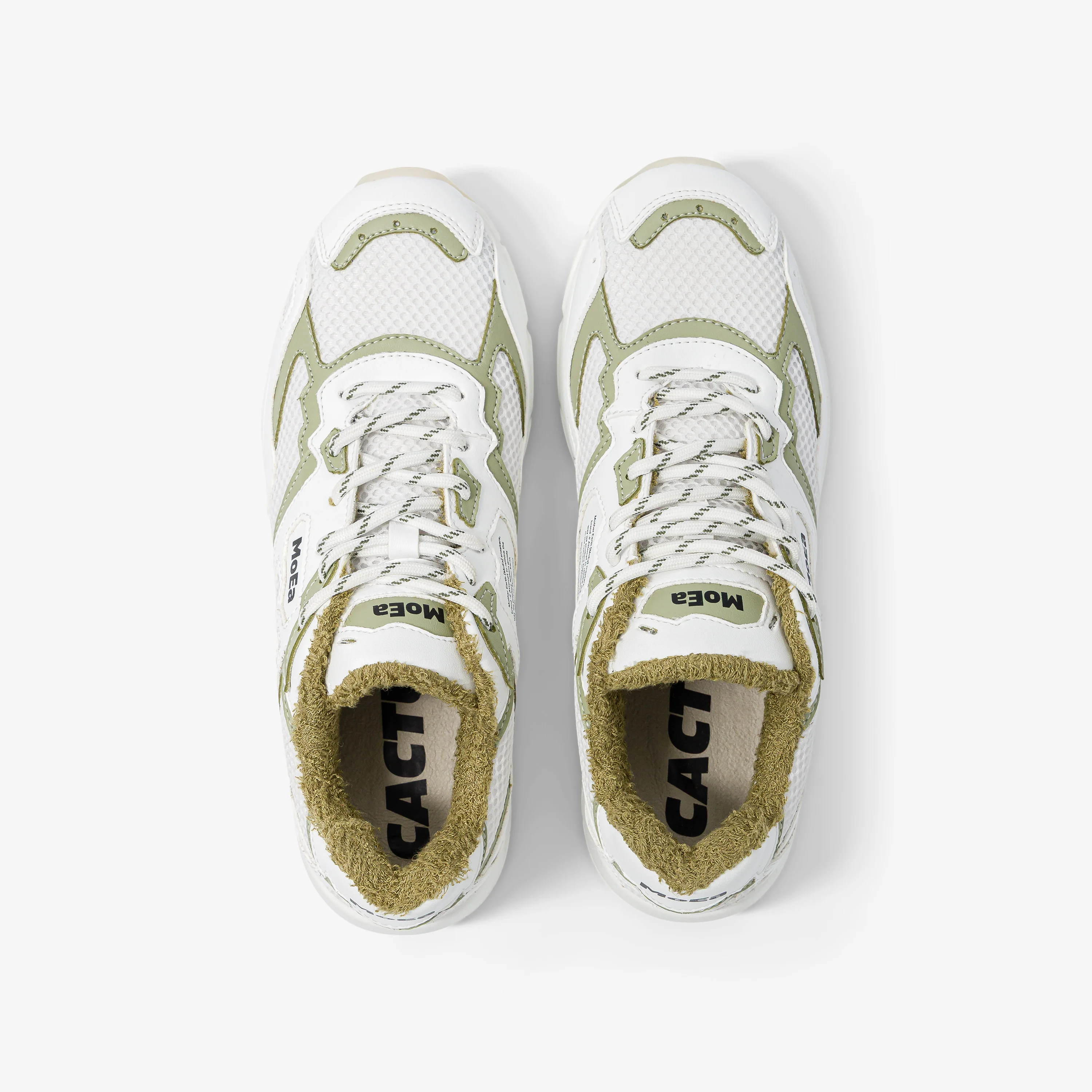 GEN8 - Cactus White & Aloe - Image 6
