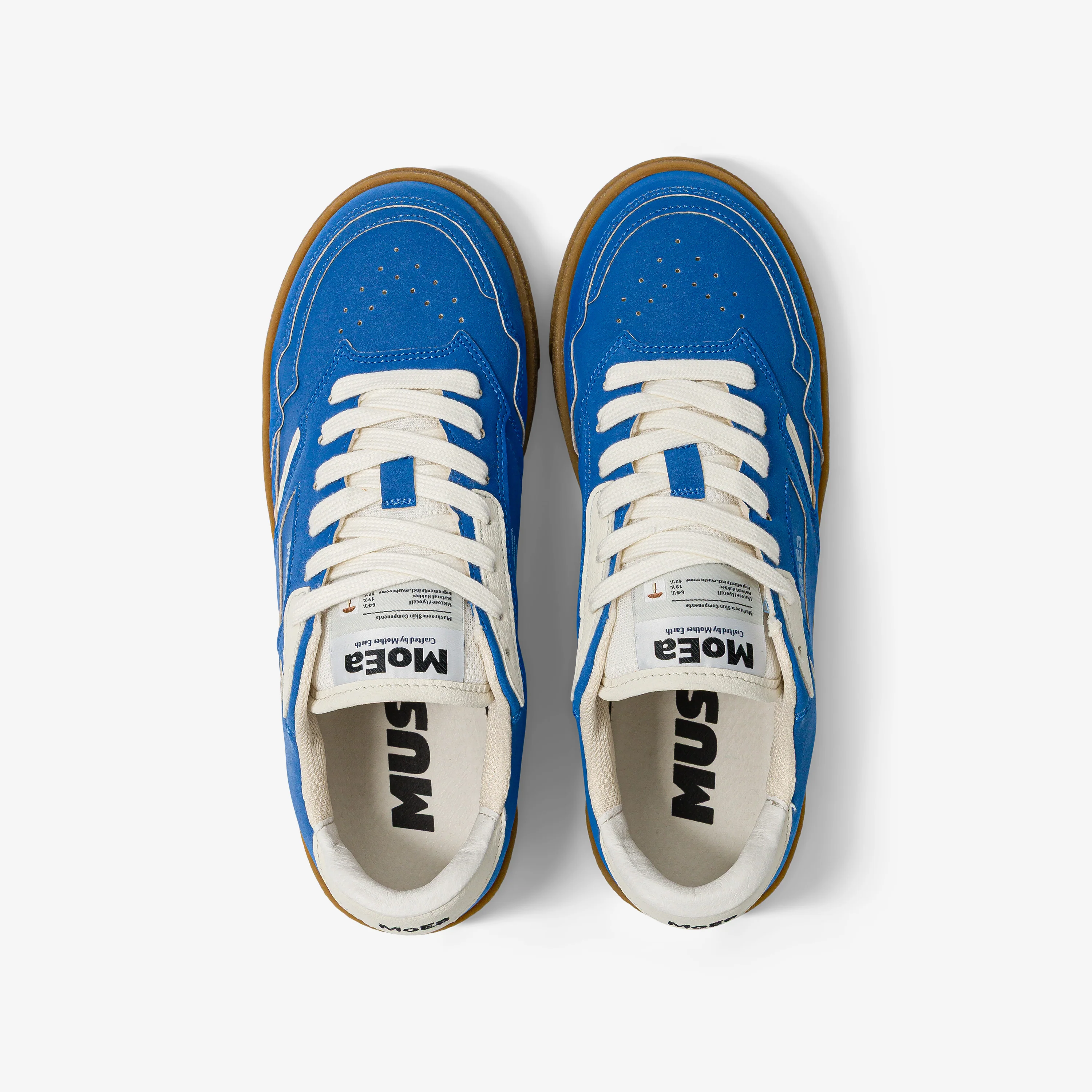 GEN9 - Mushroom Blue - Image 4